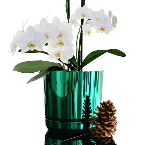 14 cm wzór ZIELONY BŁYSZCZĄCY Doniczka z podstawką nowoczesna glamour wysoki połysk metaliczny idealna do monstera orchidea