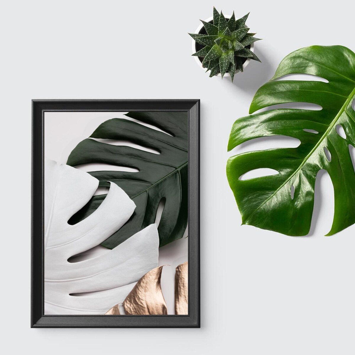 Poster Story, Plakat, Obraz - Biała Monstera, wymiary 50 x 70 cm