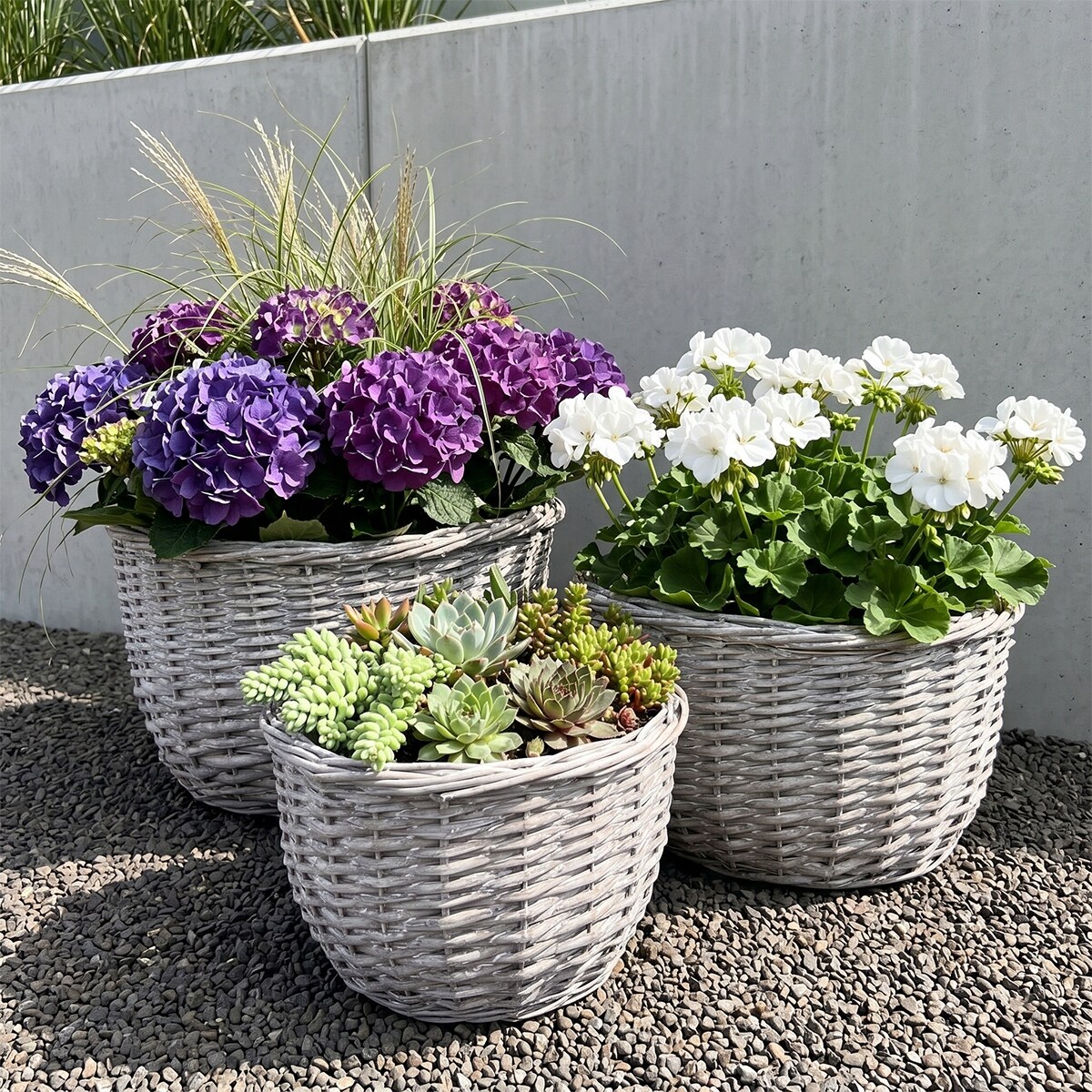 KOSZ WIKLINOWY NA KWIATY DUŻY OGRODOWY 50cm OKRĄGŁY OSŁONKA KWIETNIK 3 szt