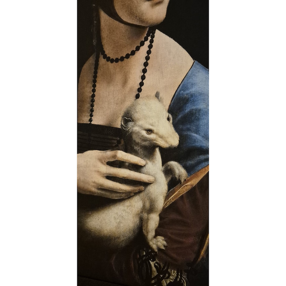 obraz Dama z gronostajem Leonardo da Vinci 40cm x 55cm