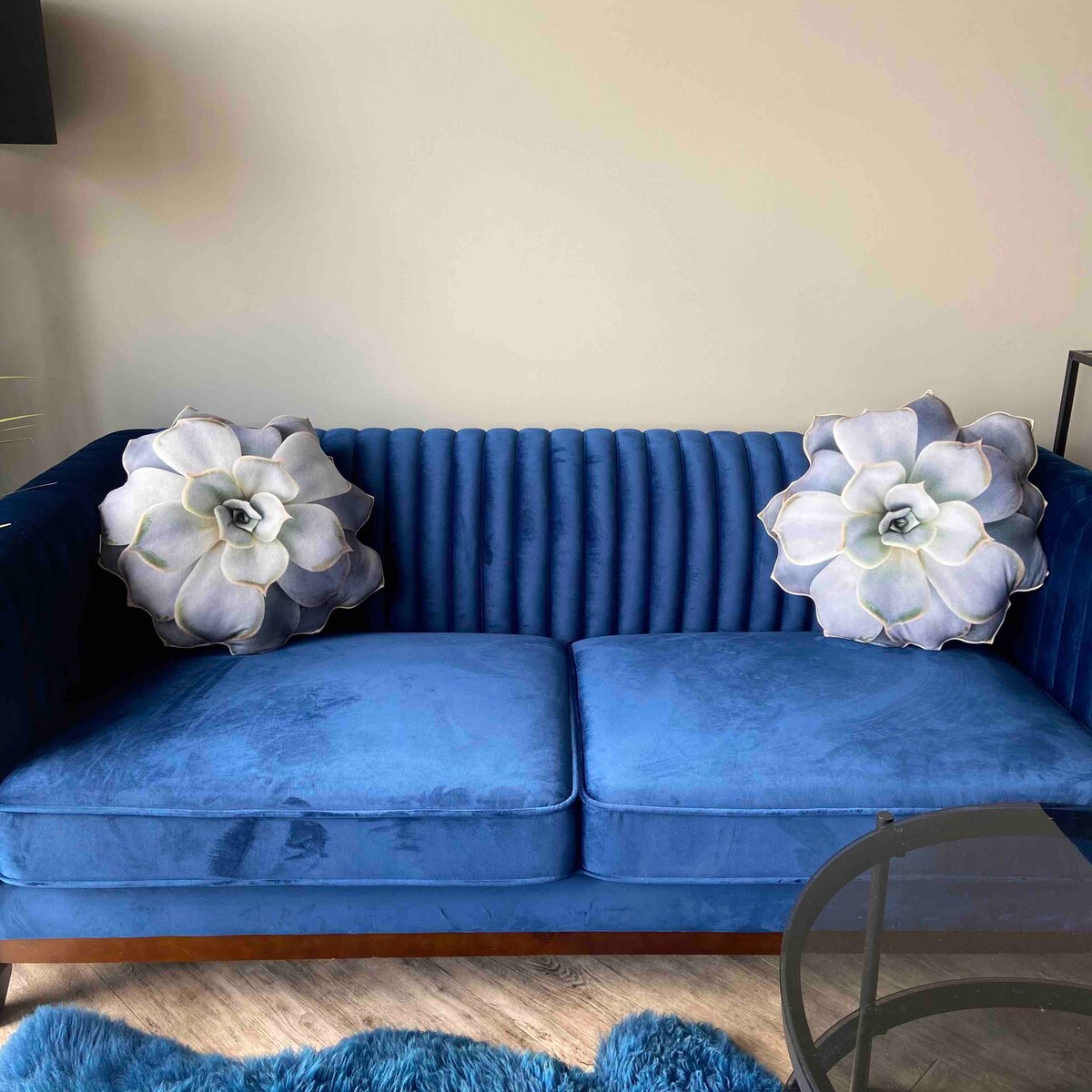 Poduszka duża Sukulent Echeveria Eszeweria