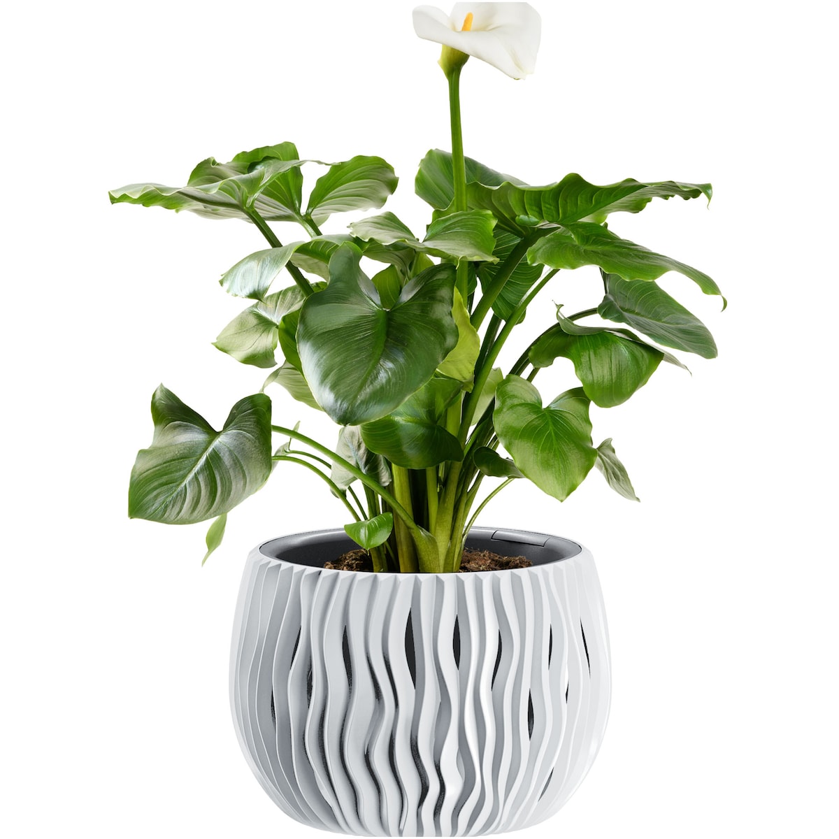 Doniczka Donica Do Kwiatów Dekoracyjna Na Stół 18 cm