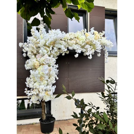 Drzewo kwitnącej wiśni kremowo-biała boczna na naturalnym pniu 220 cm