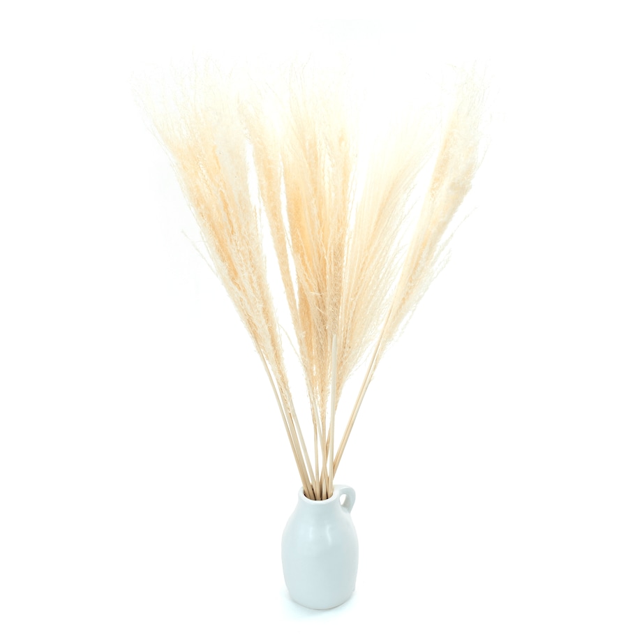 Miskant biały suszony 10 szt. - suszone trawy