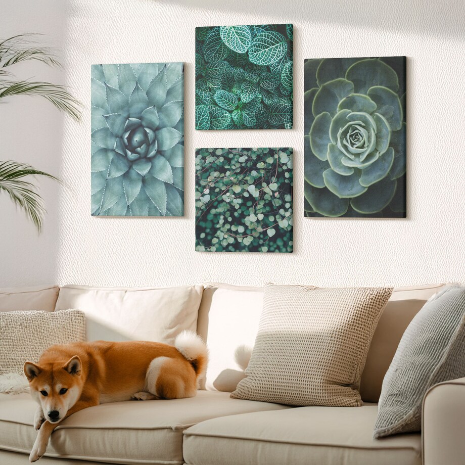 Zestaw 4 obrazów na płótnie - Sukulenty w zieleni i turkusie - zielony