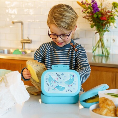 Amuse lunchbox do szkoły CLIP Wieloryb