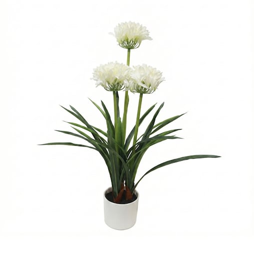 Sztuczny kwiat w doniczce Agapant, 50 x 80 cm