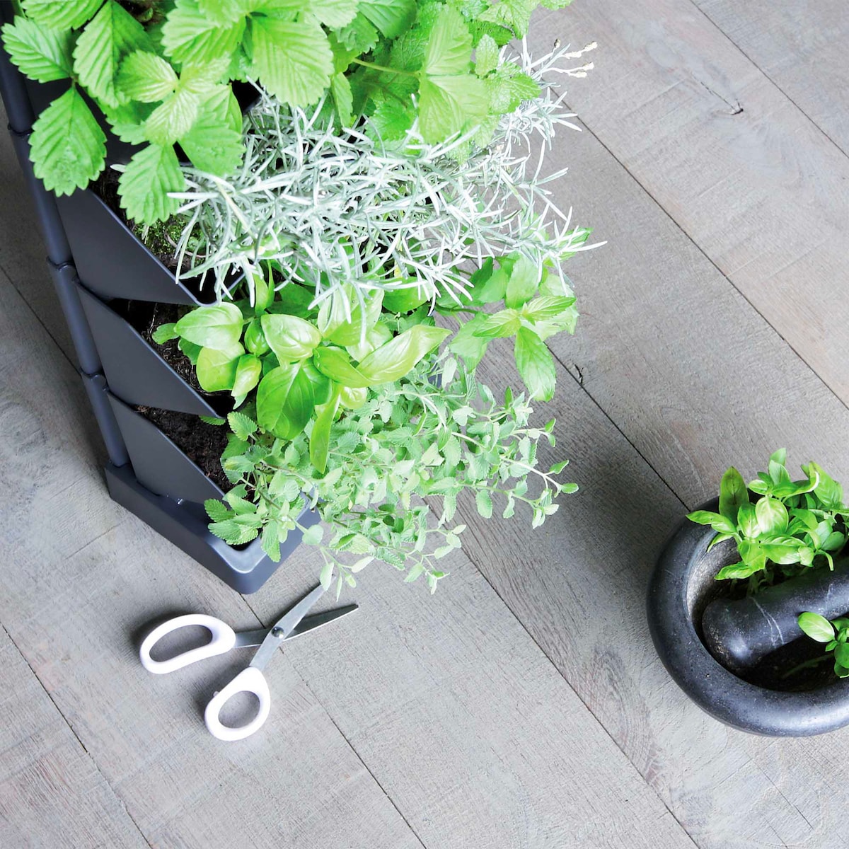 Ogród Wertykalny Doniczka Na Zioła Stojący