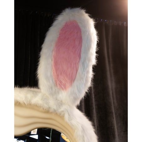 Lustro stojące BUNNY z oświetleniem LED 240x150 cm