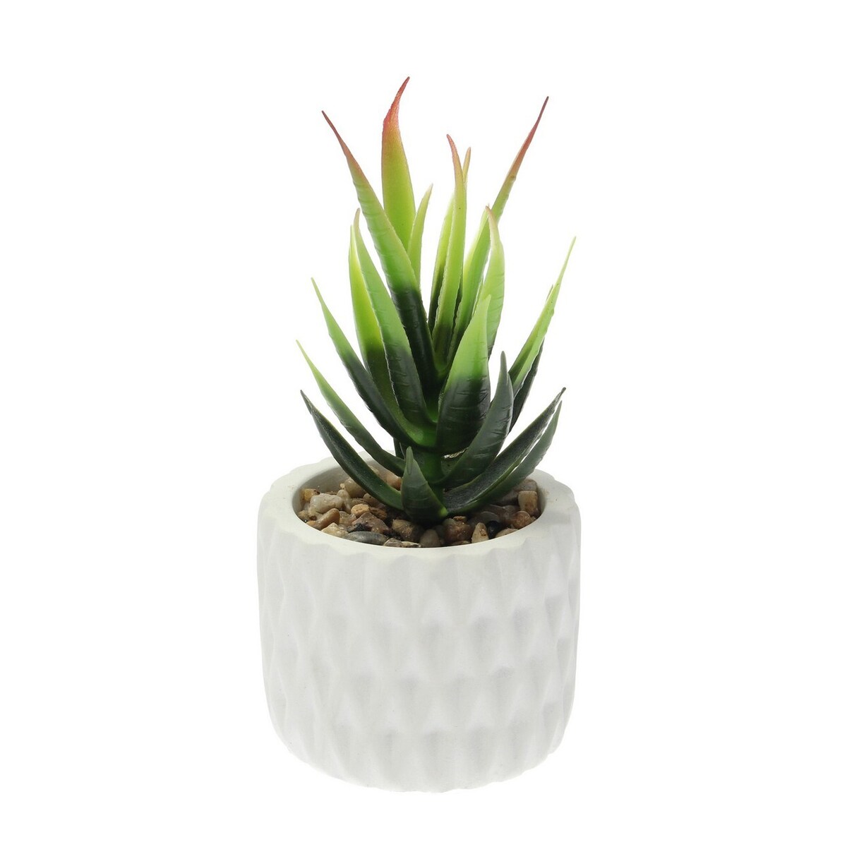 Dekoracja Sansevieria 12cm, 8 x 8 x 12 cm