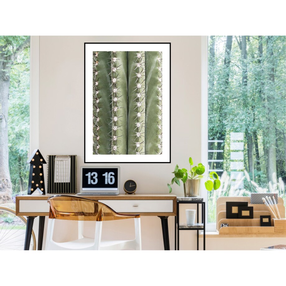 Poster Story, Plakat, Obraz - Kolce Kaktusa, wymiary 60 x 84 cm