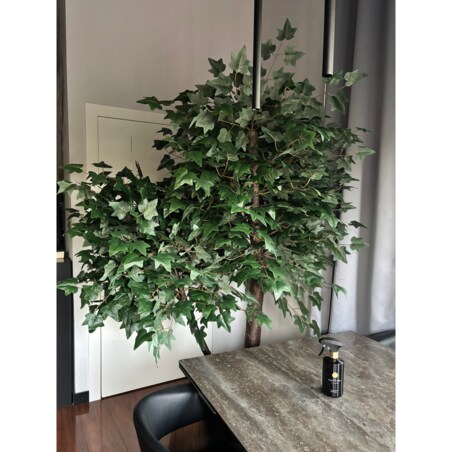 Drzewo klon z zielonymi liśćmi na naturalnym pniu 240 cm