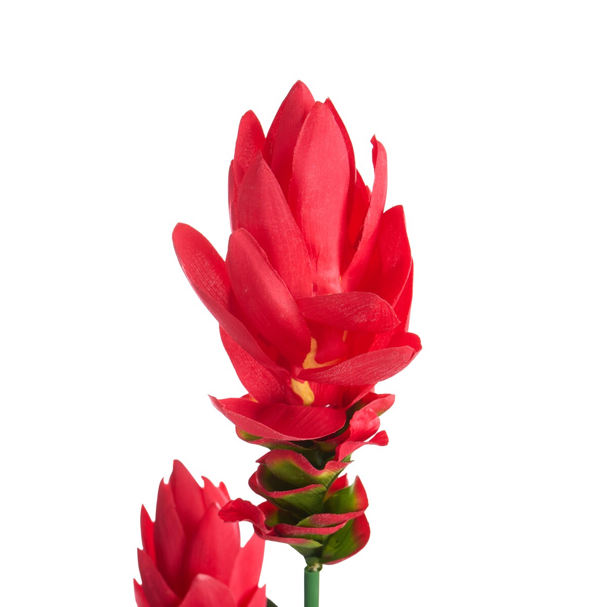 Sztuczna roślina PURPURATA 130 cm Czerwony