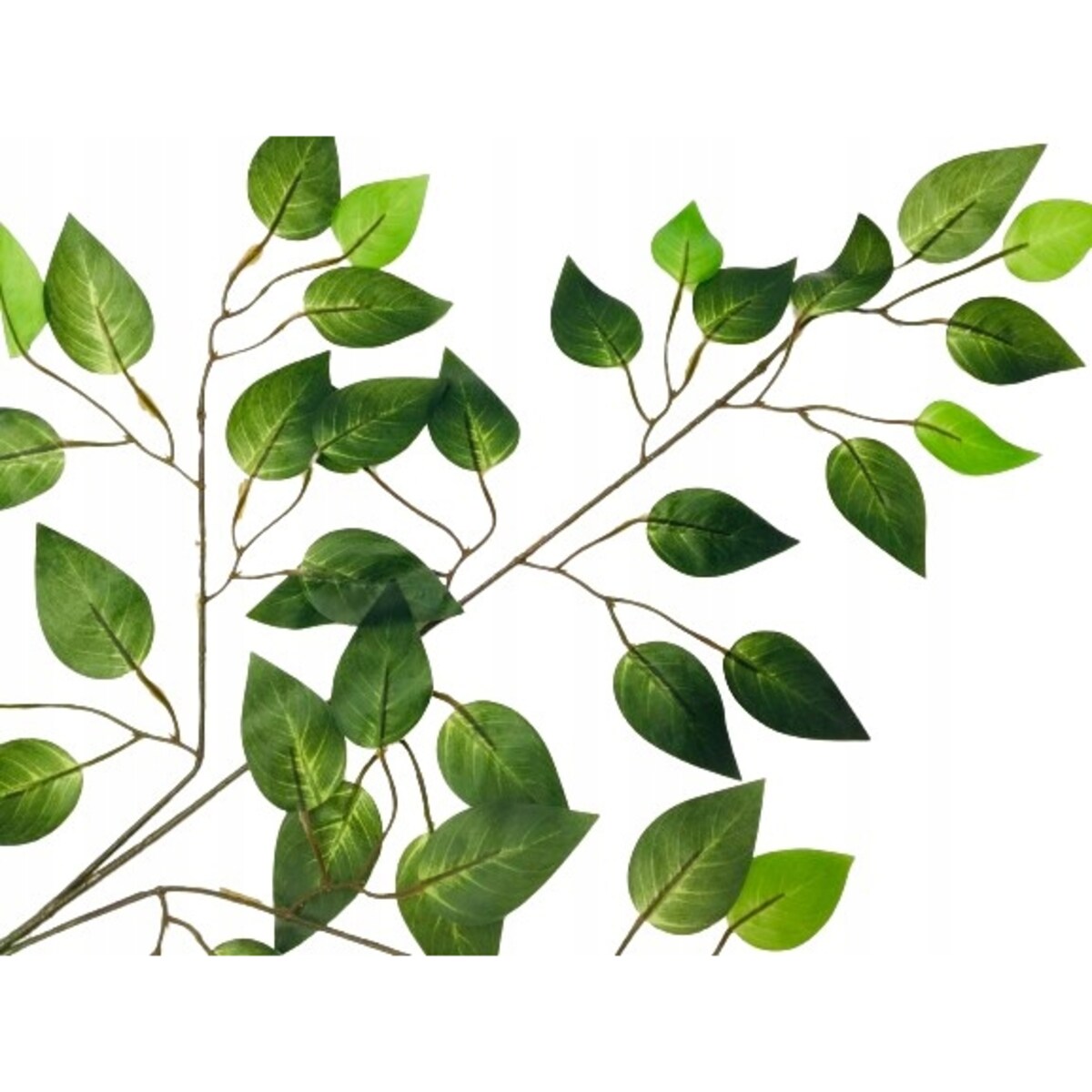 GAŁĄZKA FIKUS do stroiki bukiety dodatek LIŚĆ GUMOWANE DROBNE listki święta