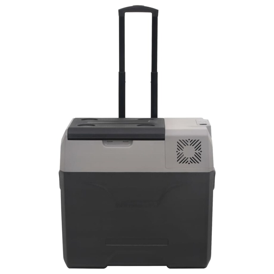 vidaXL Lodówka na kółkach, z uchwytem, czarno-szara, 30 L, PP