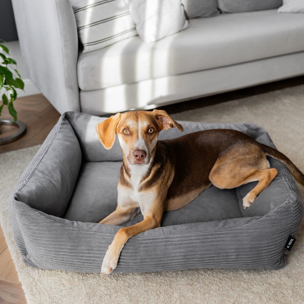 Sztruksowe legowisko dla psa MOLLY, 80x60 cm, Szary