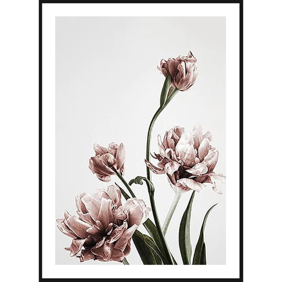 Poster Story, Plakat, Obraz - Różowe Tulipany No2, wymiary 42 x 60 cm