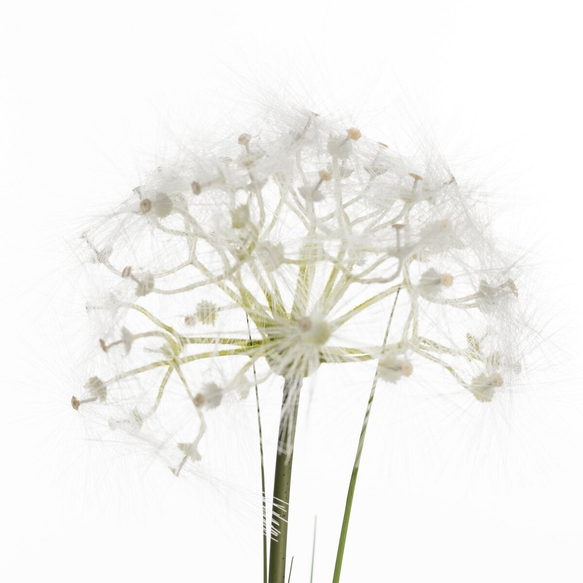 Dekoracja Dmuchawiec wys. 120cm, 24 x 14 x 120 cm