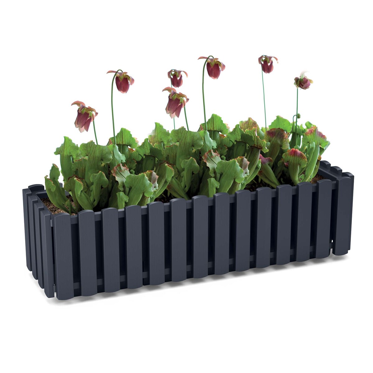 Donica Na Cmentarz Skrzynka Korytko Doniczka Na Wszystkich Świętych Boardee Fence 58 Cm