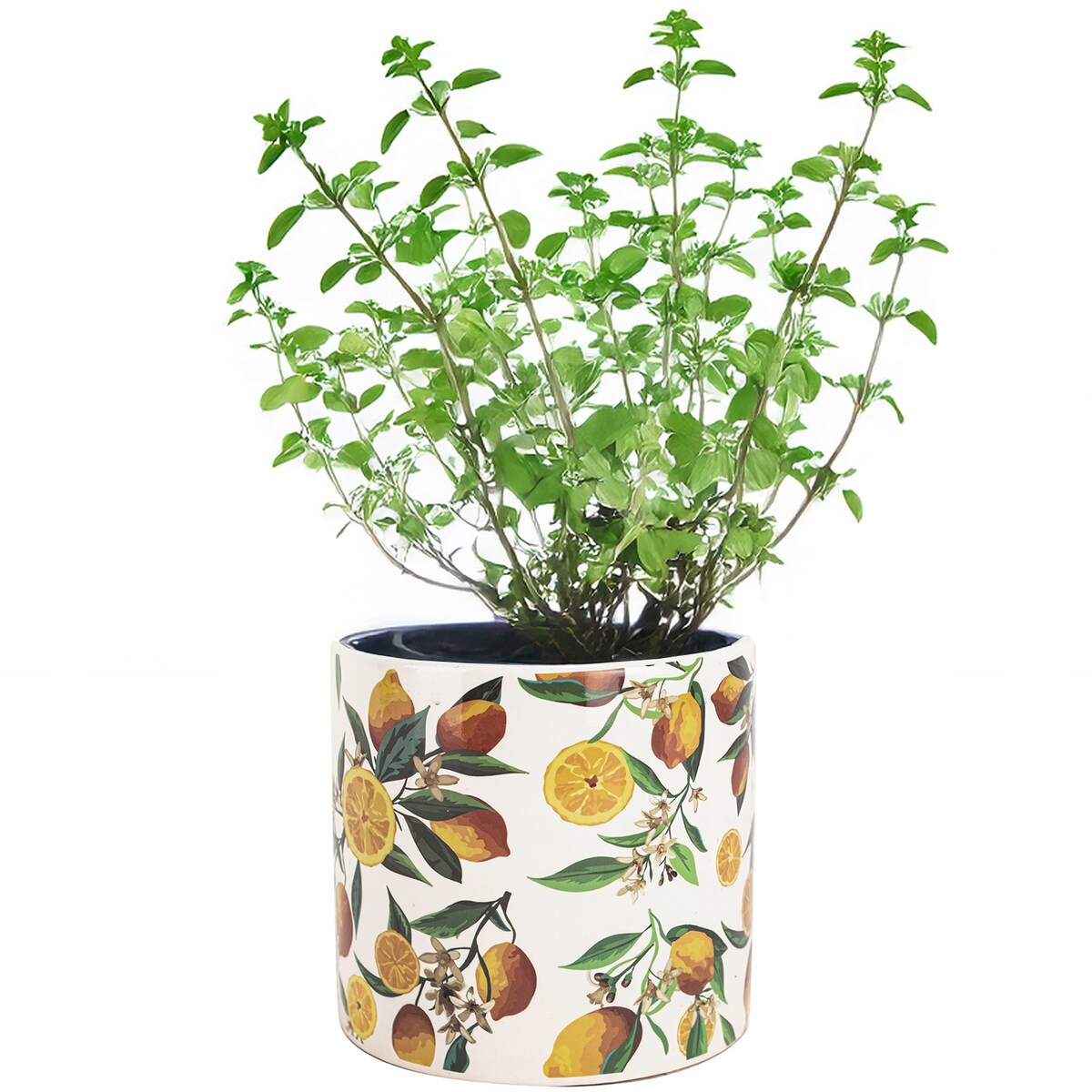 DONICZKA BIAŁA Z CYTRYNAMI CERAMICZNA BIAŁA 14cm do salonu domu doniczka