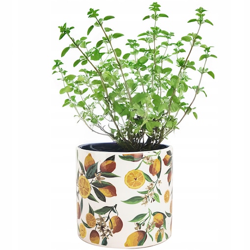 DONICZKA BIAŁA Z CYTRYNAMI CERAMICZNA BIAŁA 14cm do salonu domu doniczka