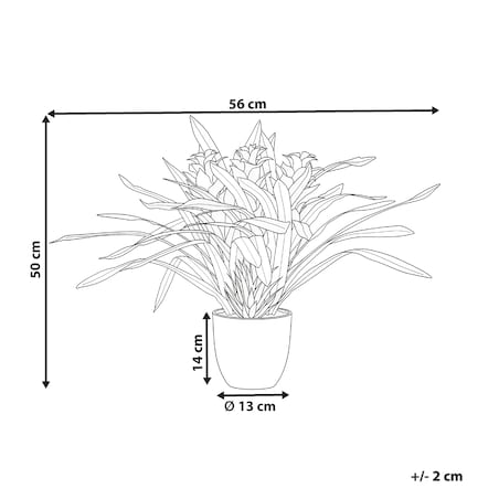 Sztuczna roślina GUZMANIA ATILLA 50 cm Zielony