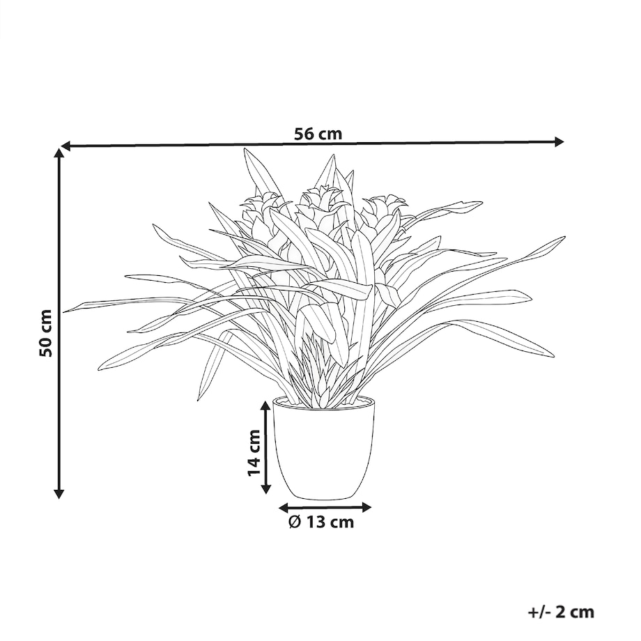 Sztuczna roślina GUZMANIA ATILLA 50 cm Zielony