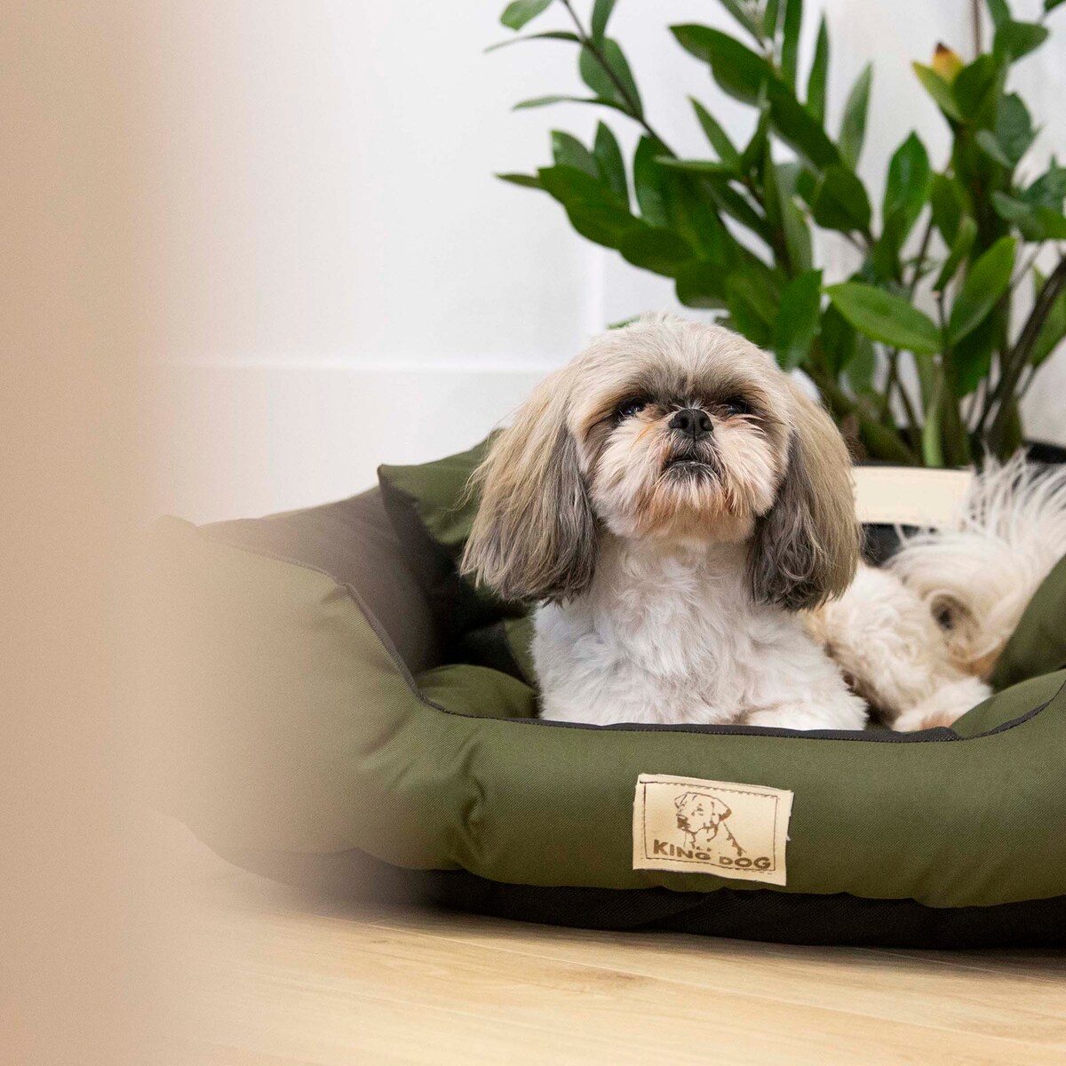 Legowisko Dla Psa 55X45 Cm Posłanie Kanapa Z Miejscem Na Imię Wodoodporne