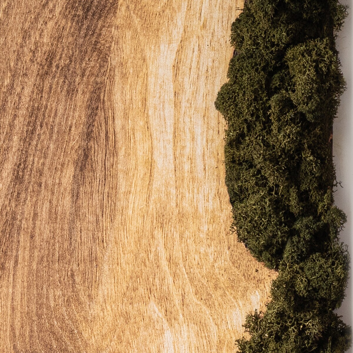 Obraz Dębowa deska naturalna - mech chrobotek w białej ramie 40x60cm