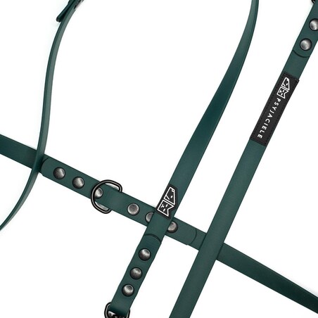 Smycz przepinana Biothane® dla psa lub kota "Green AF" - Rozmiar: L, Szerokość taśmy: 16mm