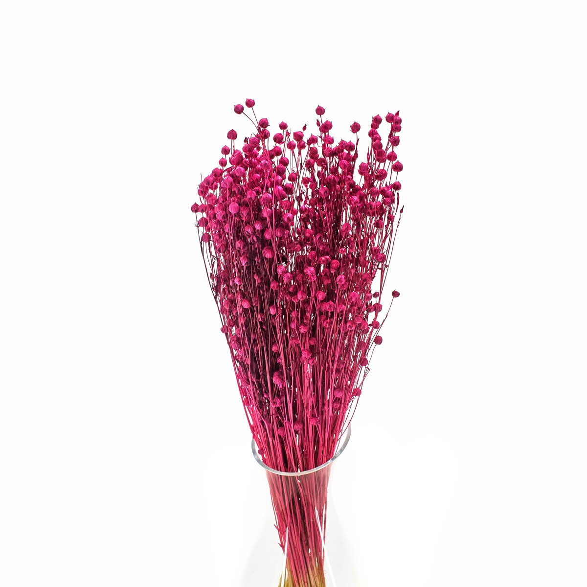 Suszony len fuksja - bukiet 90g - suszone kwiaty