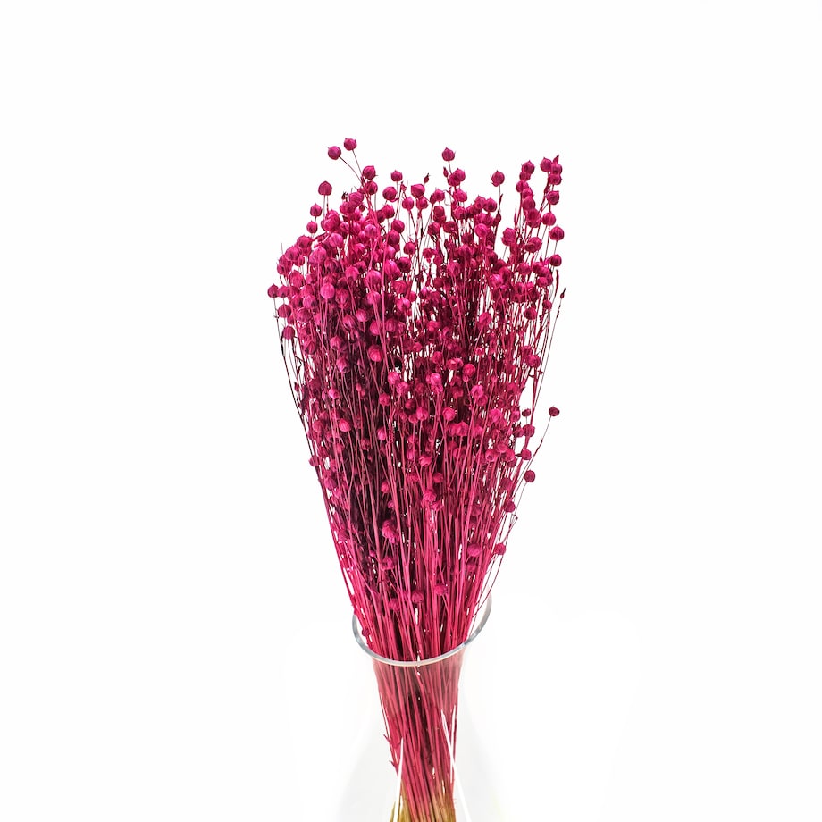 Suszony len fuksja - bukiet 90g - suszone kwiaty