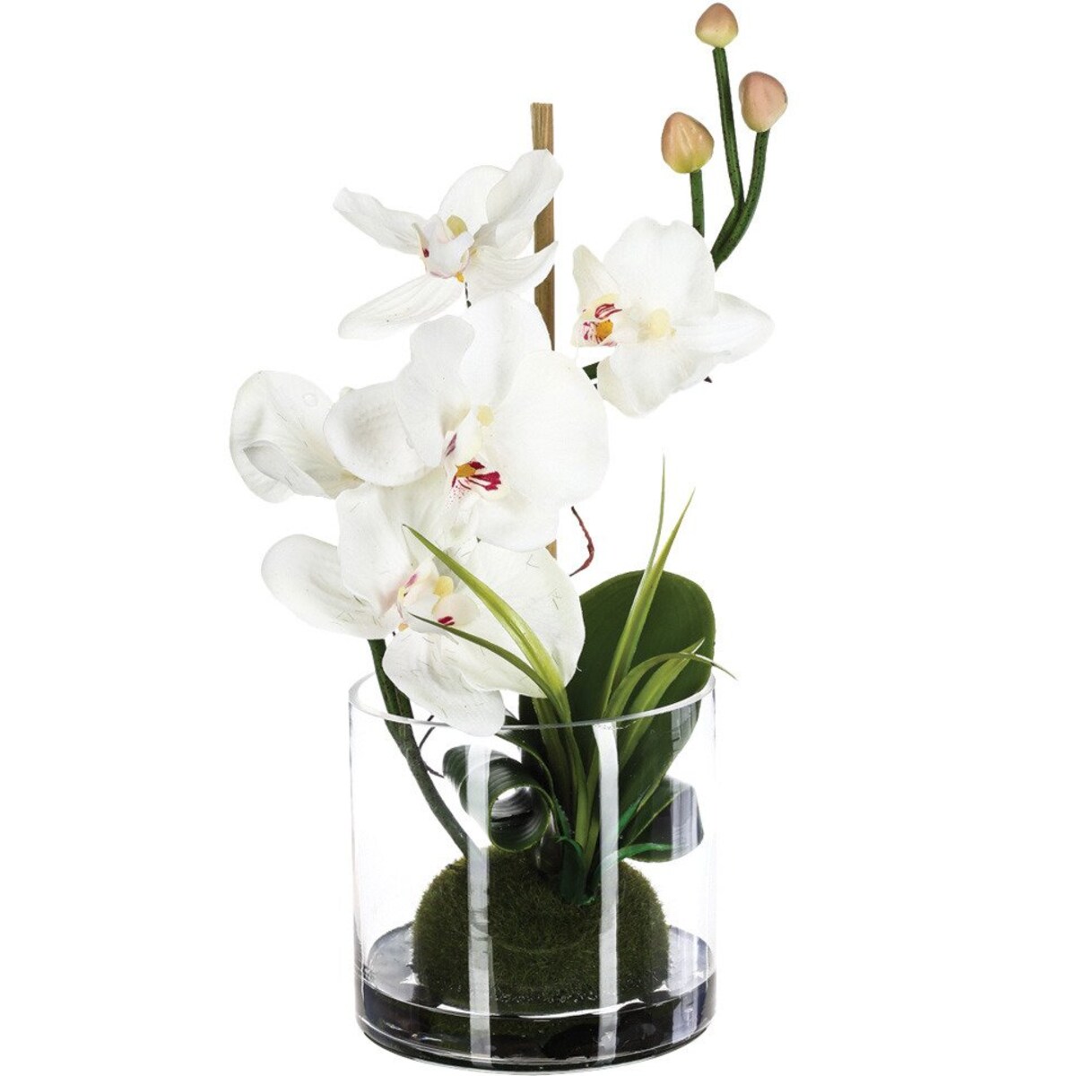 Sztuczny stroczyk w szkle, 37 cm