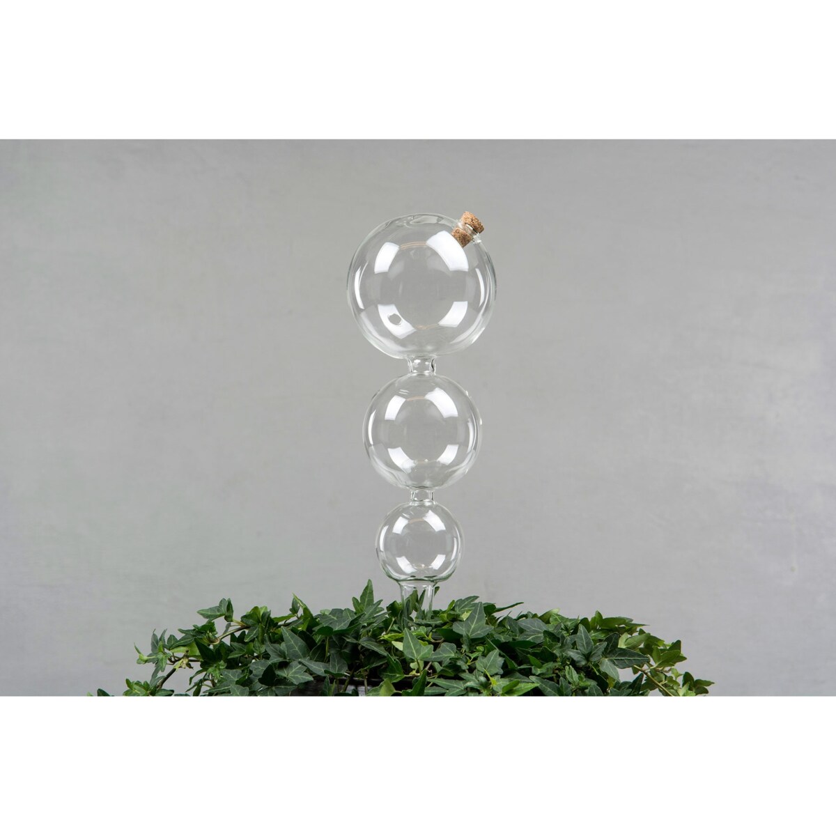 KULA NAWADNIAJĄCA do roślin kwiatów SZKLANA 850ml