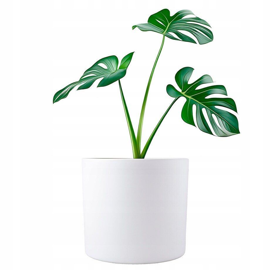 DONICZKA BIAŁA DUŻA 20cm ceramiczna na bonsai palmy bonsai osłonka matowa
