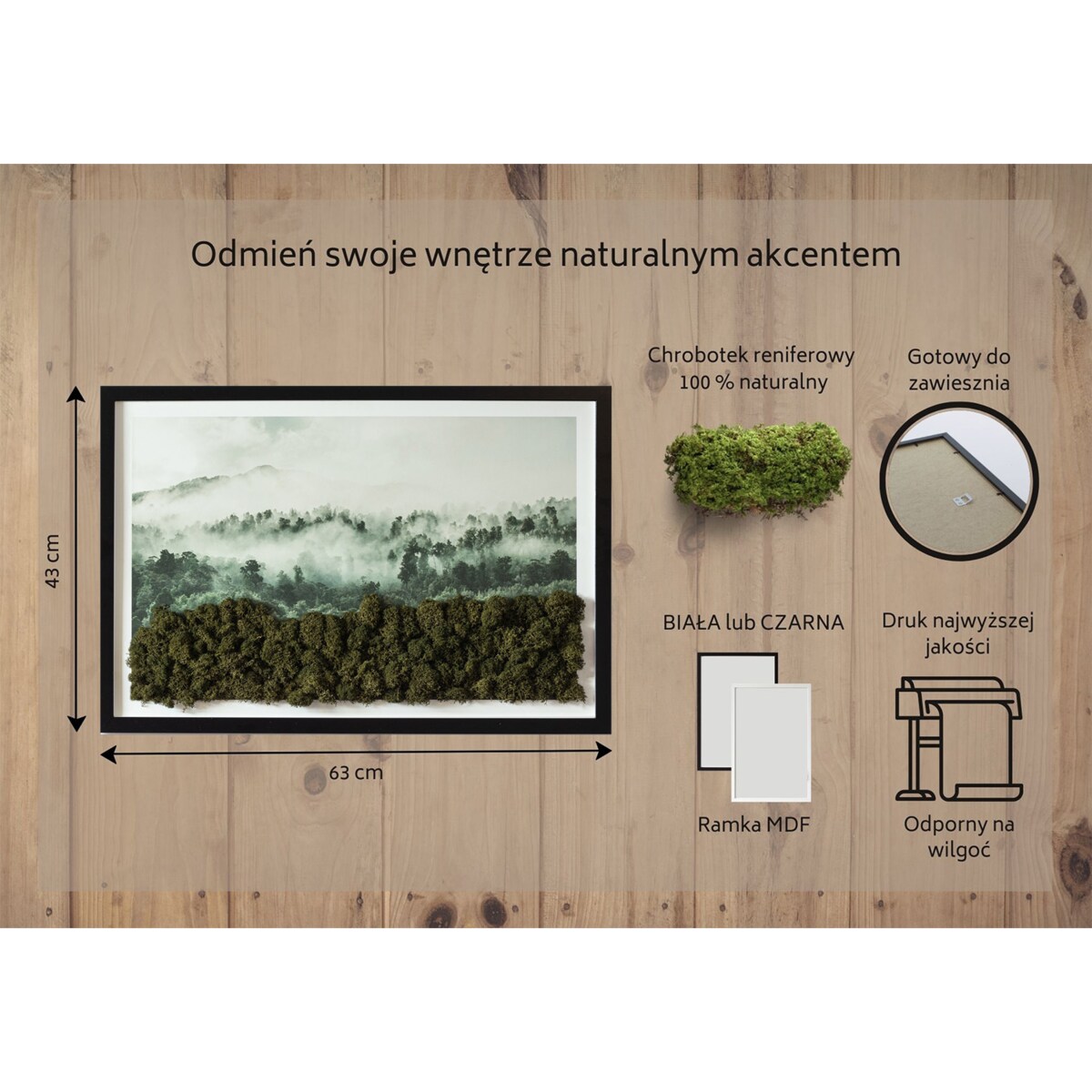 Obraz Las we mgle - mech chrobotek w czarnej ramie 60x40cm