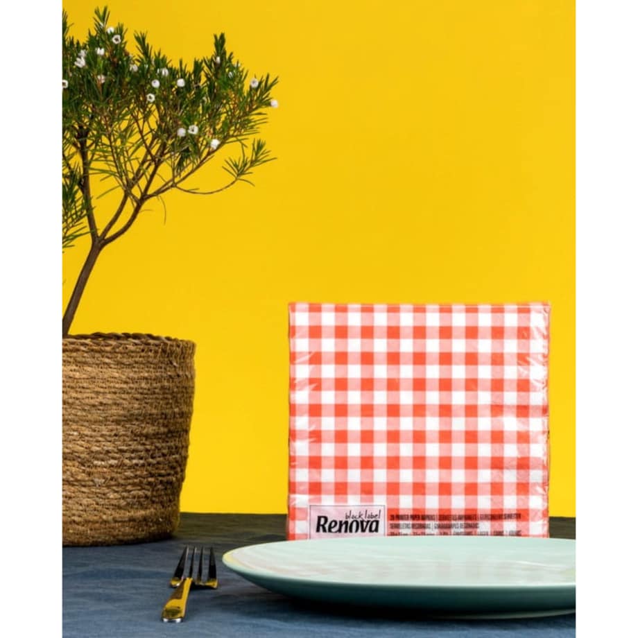 Serwetki Renova Picnic 20szt 33x33cm