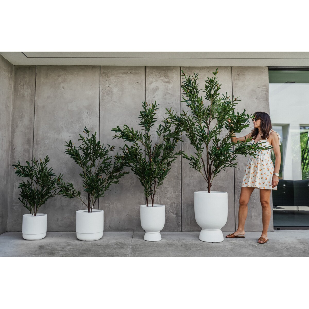 DUŻE DRZEWKO OLIWNE 180 cm - DEKORACJA INSPIROWANA NATURĄ