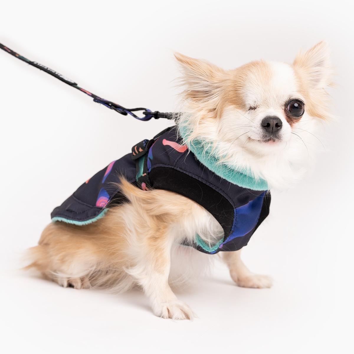 Kurtka dla psa "Psychodelia" - Rozmiar: XS