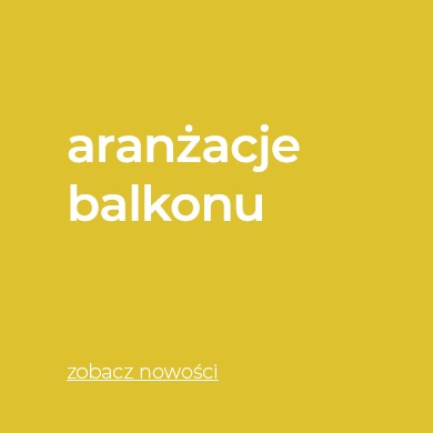 Kolekcje